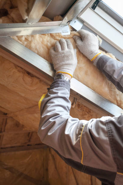 Best DIY Insulation Kits and Guidance in Renova, MS