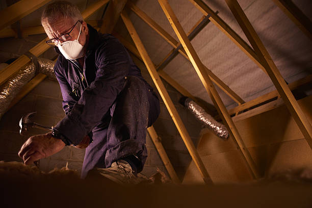 Types of Insulation We Offer in Renova, MS