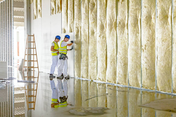 Best Spray Foam Insulation in Renova, MS